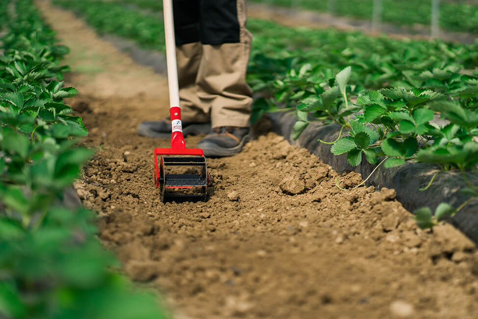 Shredding and softening the soil with the Hand Tiller 12cm - irgottools