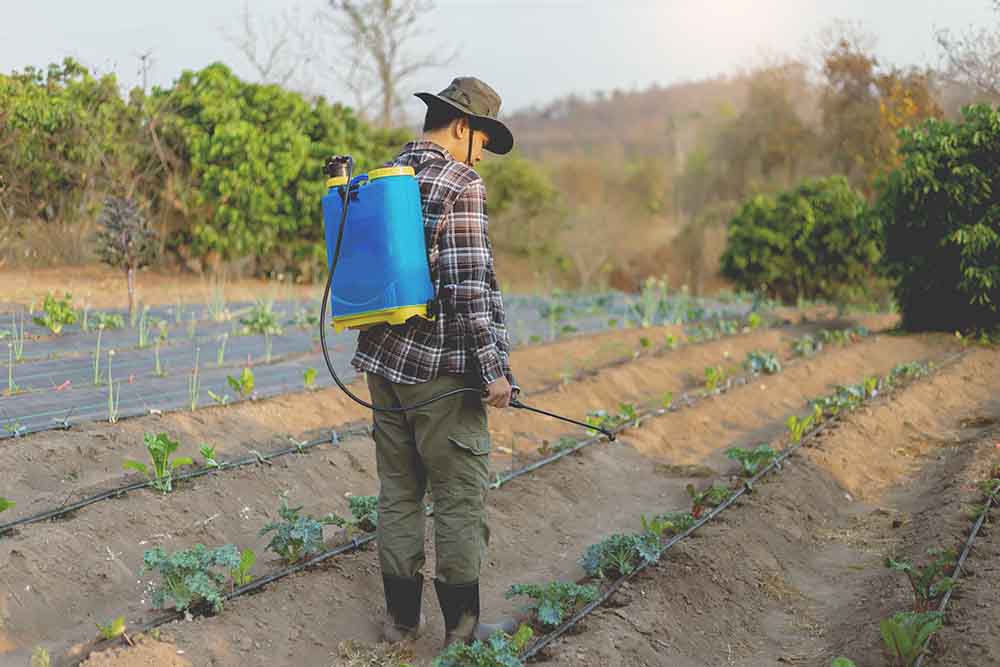 Chemical spraying of weeds in between rows - irgottools