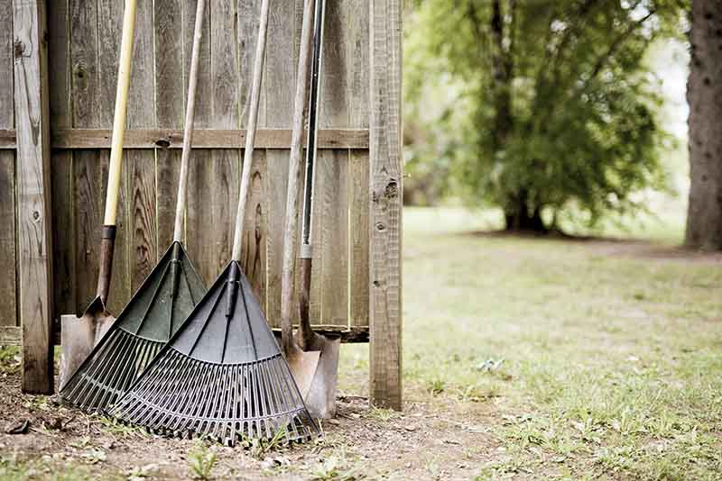 Fan-shaped leaf rakes - irgottools