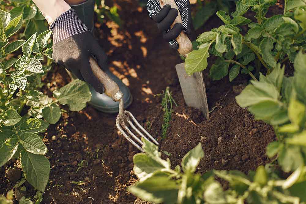 Hand garden forks and shovels - irgottools