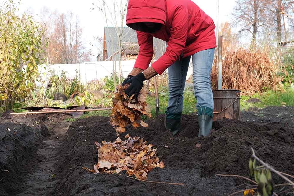 Storage of dry leaves as winter isolation of plants - irgottools