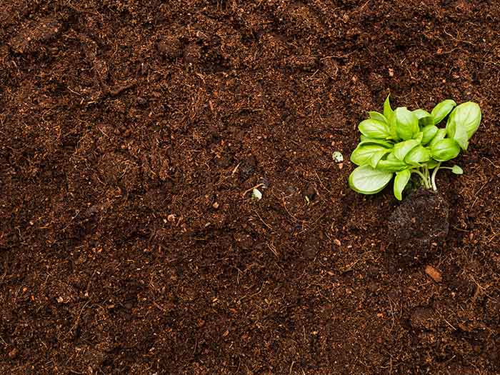 Fertile soil without weeds - irgottools