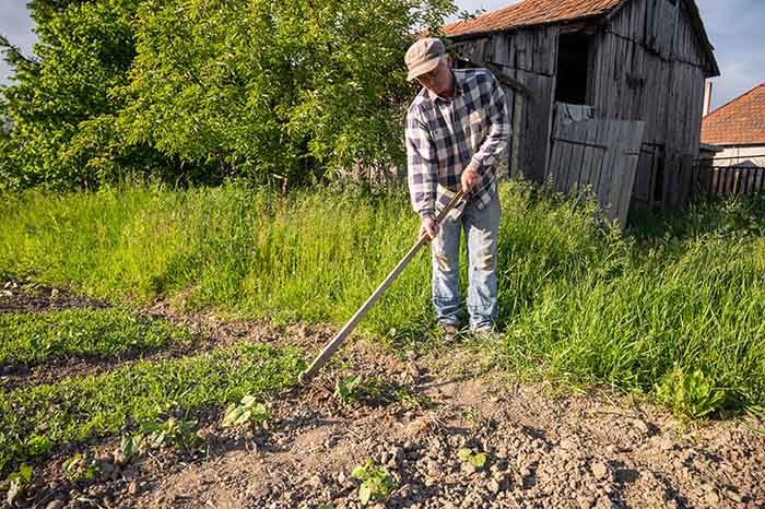 Inter-row hoeing - irgottools