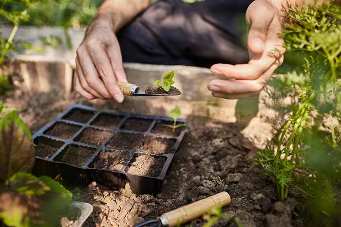 Spring garden planting - irgottools