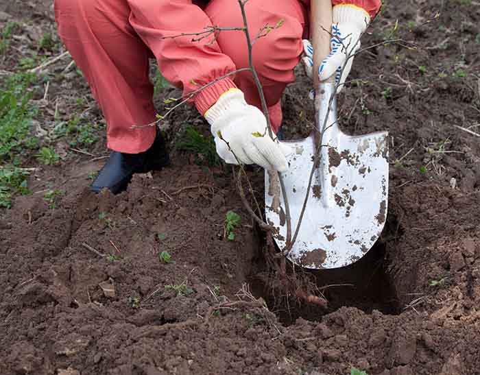 Garden work with a shovel - irgottools