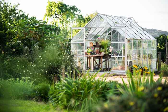 Growing plants in a small greenhouse - irgottools