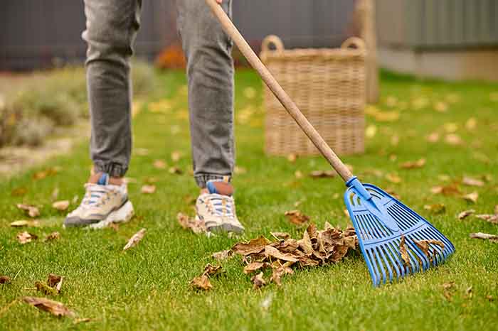 Use of leaf rakes - irgottools