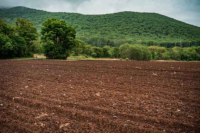 View of fertile land - Irgot agriculture - irgottools