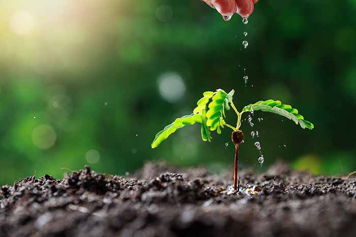 Water as a factor of soil fertility - irgottools